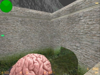 Скриншот Граната Мозг #0
