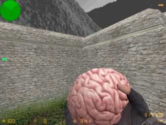 Скриншот Граната Мозг #1